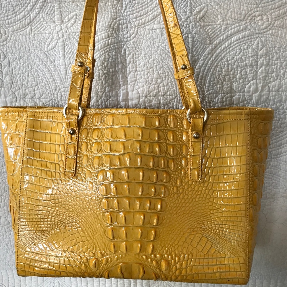 Brahmin bag